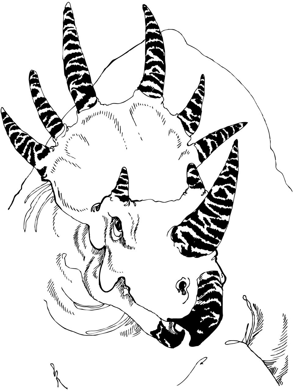 Desenho de Estiracossauro para colorir e imprimir: número 16