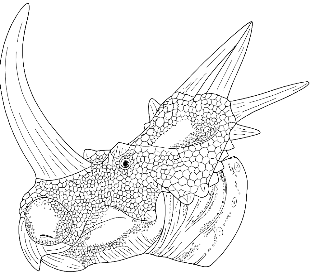 Desenho de Estiracossauro para colorir e imprimir: número 17