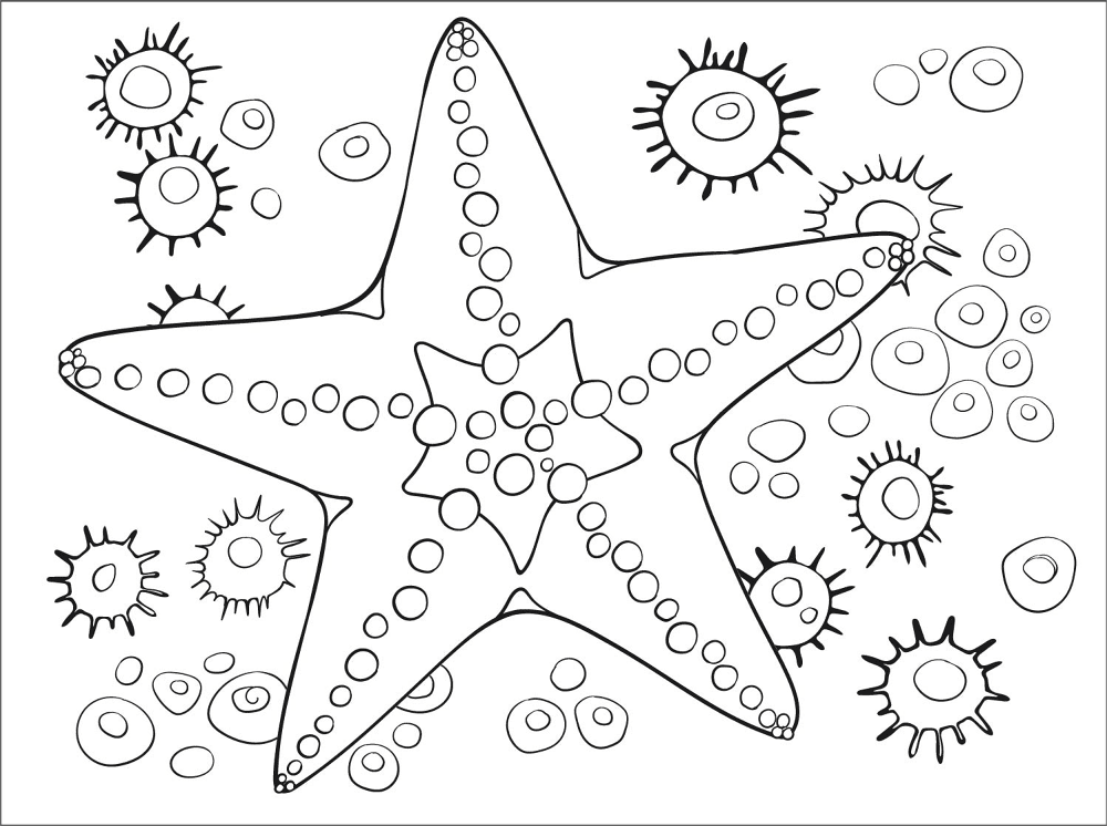 Desenho de Estrela Do Mar para colorir e imprimir: número 1