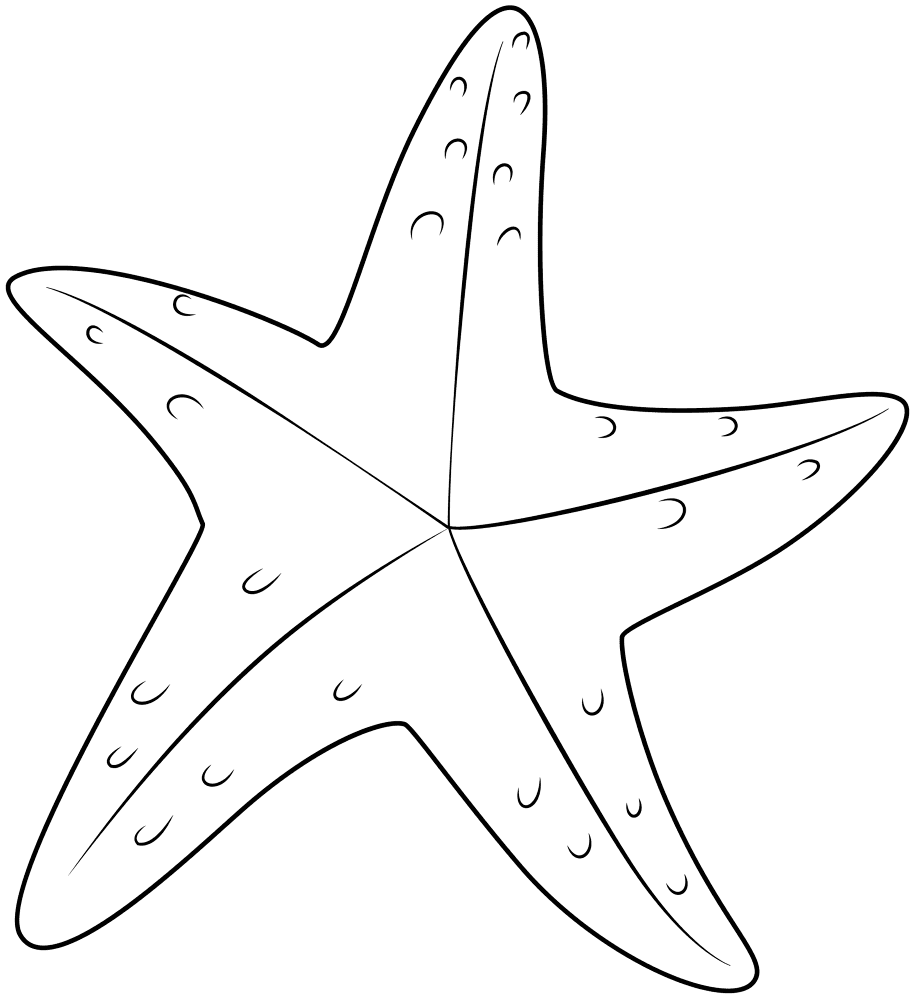 Desenho de Estrela Do Mar para colorir e imprimir: número 5