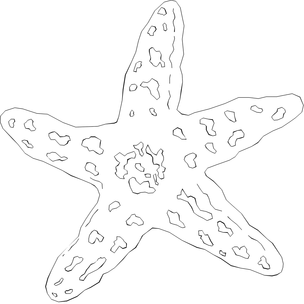 Desenho de Estrela Do Mar para colorir e imprimir: número 7