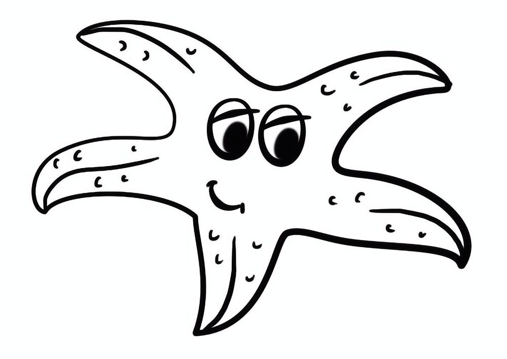 Desenho de Estrela Do Mar para colorir e imprimir: número 13