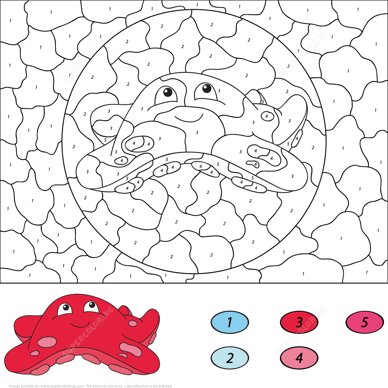 Desenho de Estrela Do Mar para colorir e imprimir: número 14