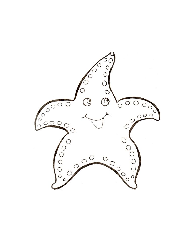 Desenho de Estrela Do Mar para colorir e imprimir: número 33