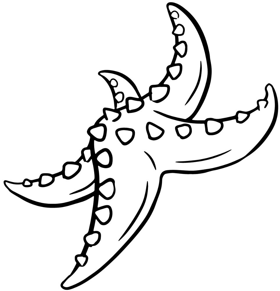 Desenho de Estrela Do Mar para colorir e imprimir: número 35