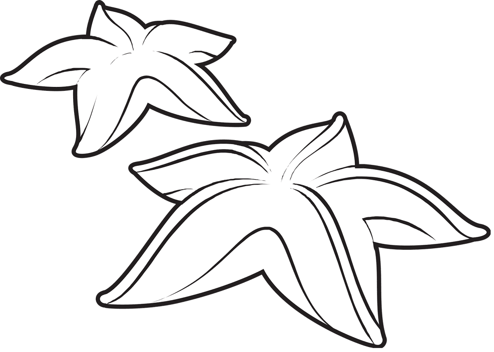 Desenho de Estrela Do Mar para colorir e imprimir: número 36