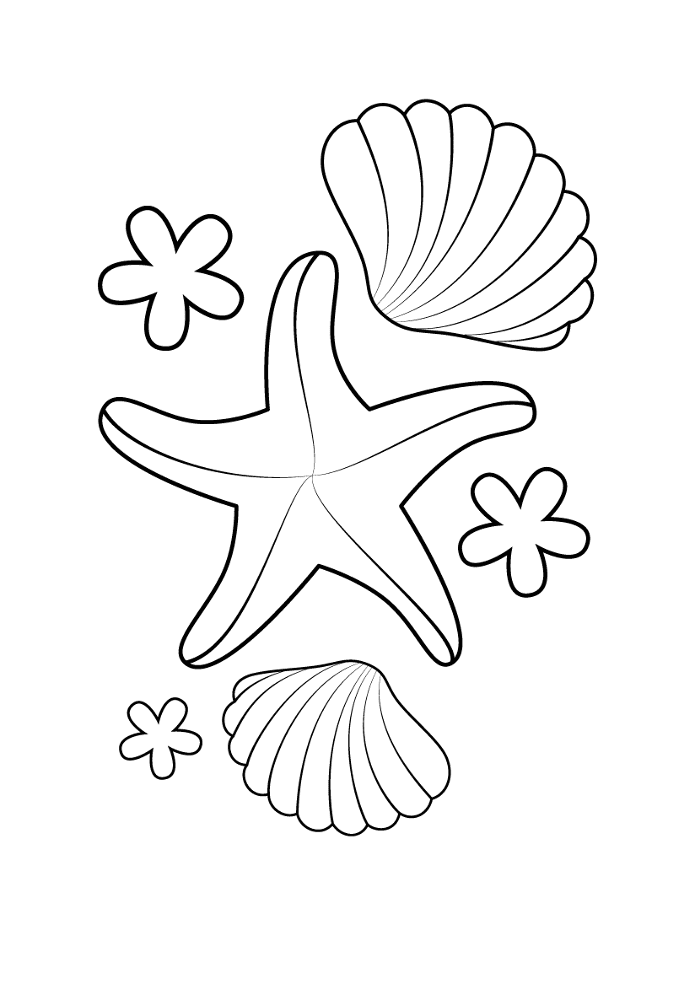 Desenho de Estrela Do Mar para colorir e imprimir: número 37
