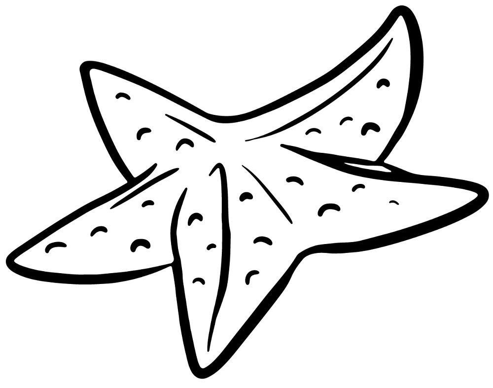 Desenho de Estrela Do Mar para colorir e imprimir: número 43