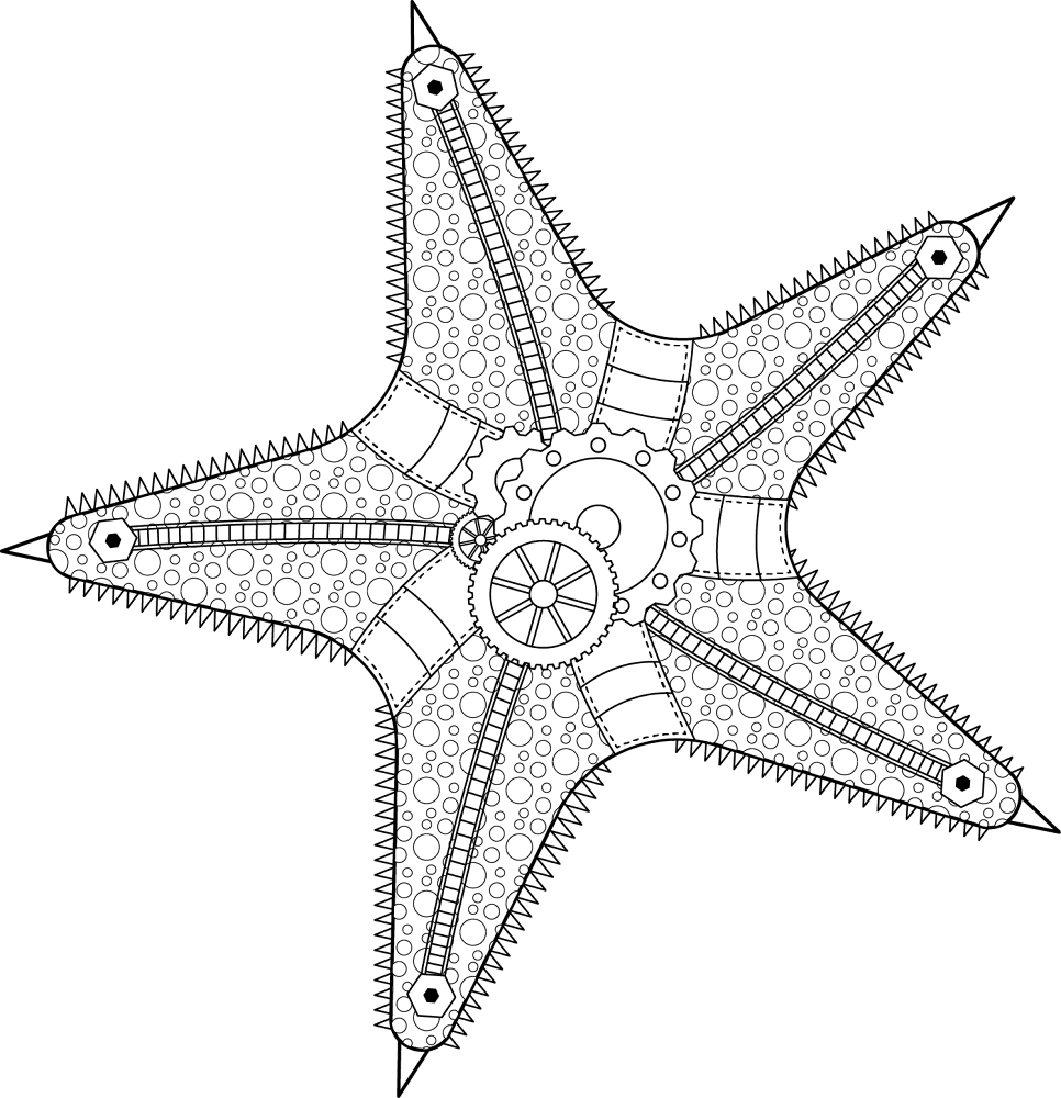 Desenho de Estrela Do Mar para colorir e imprimir: número 46