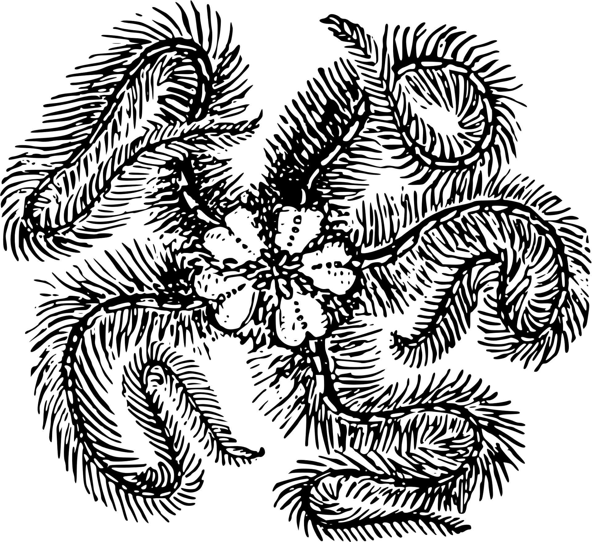 Desenho de Estrela Do Mar para colorir e imprimir: número 47