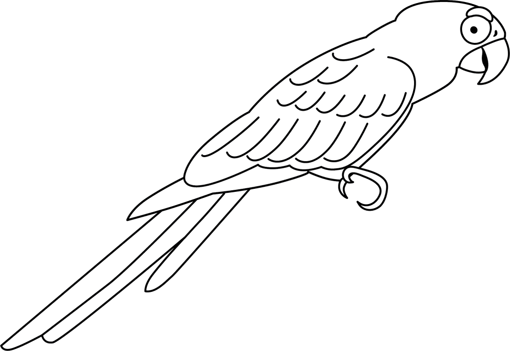 Desenho de Exótico para colorir e imprimir: número 2