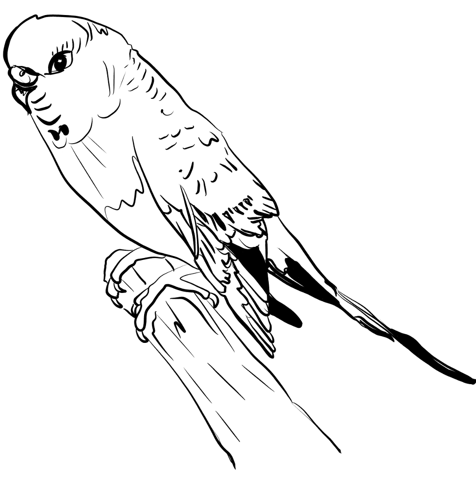 Desenho de Exótico para colorir e imprimir: número 5