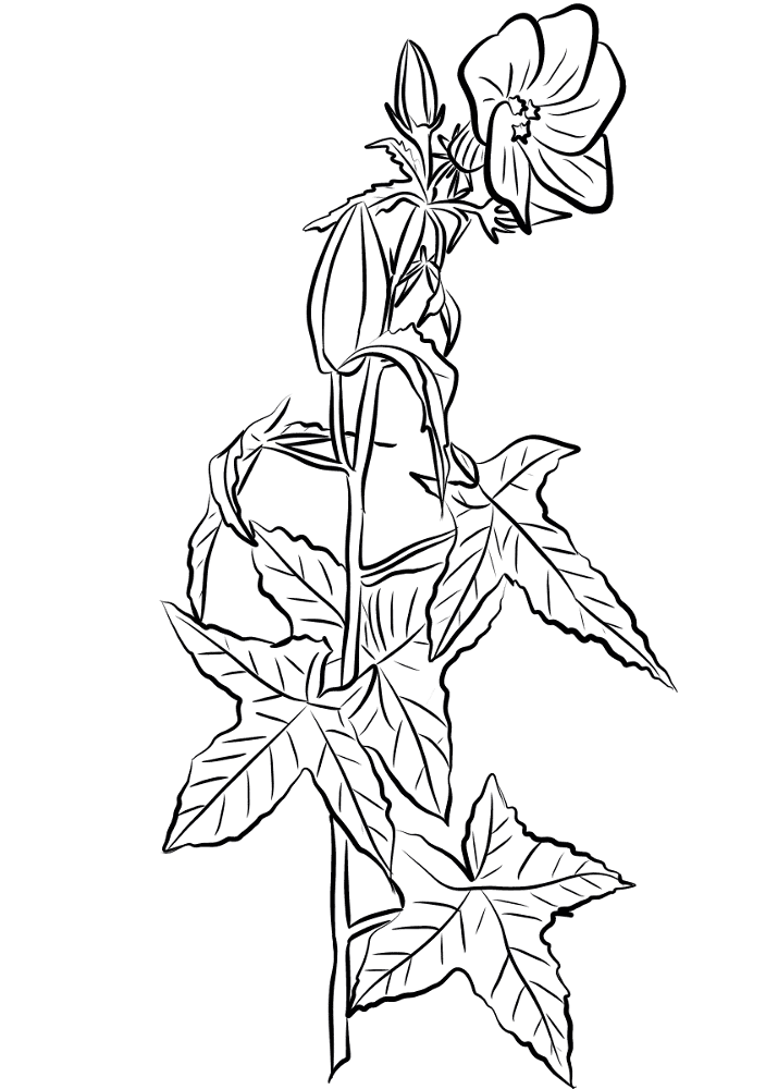 Desenho de Exótico para colorir e imprimir: número 7