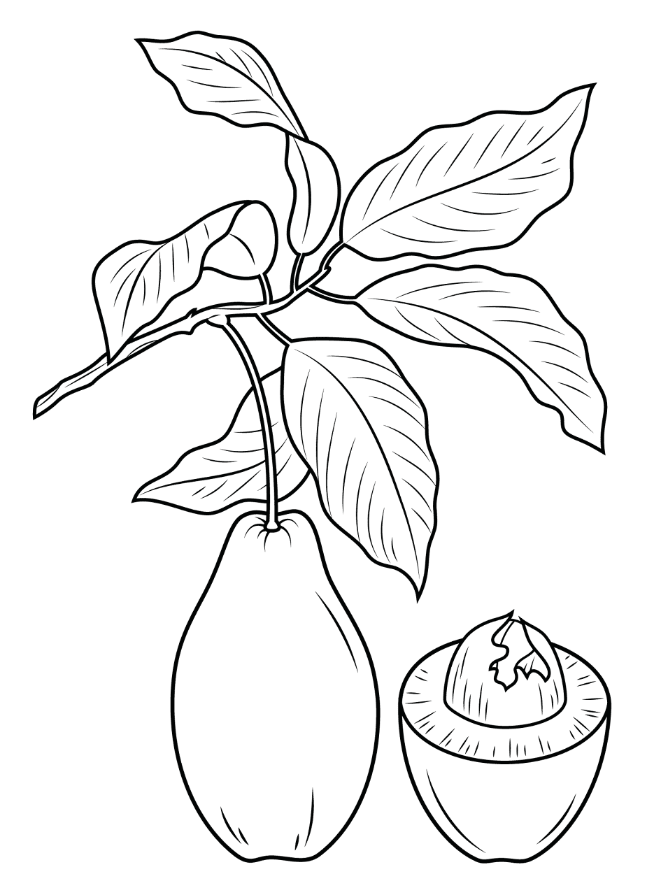 Desenho de Exótico para colorir e imprimir: número 8