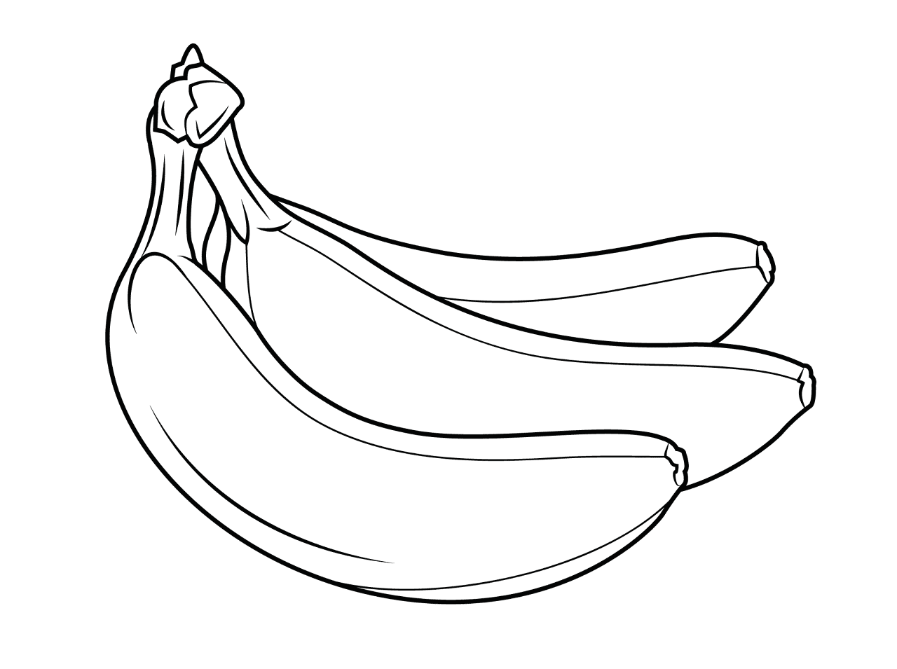 Desenho de Exótico para colorir e imprimir: número 11