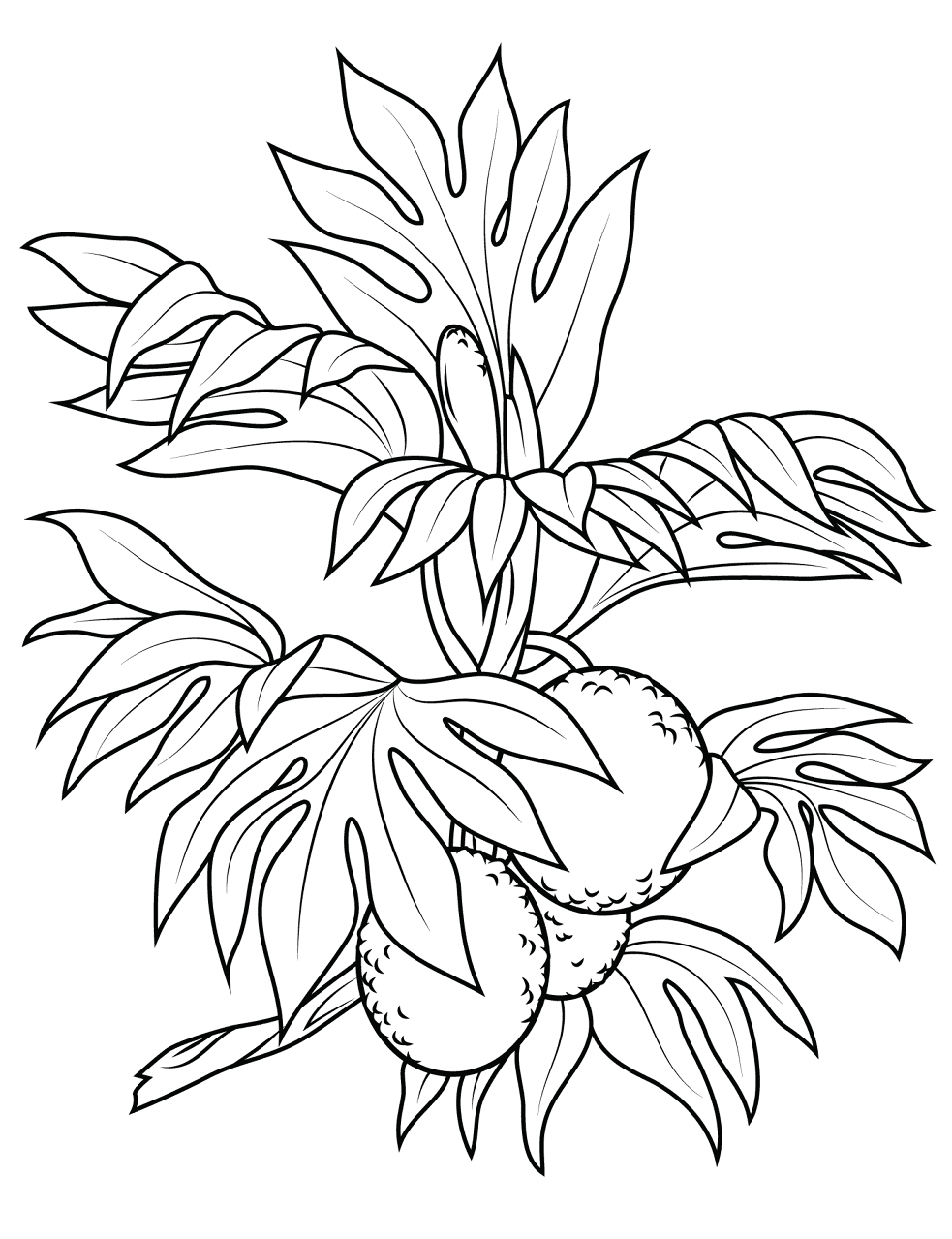 Desenho de Exótico para colorir e imprimir: número 14