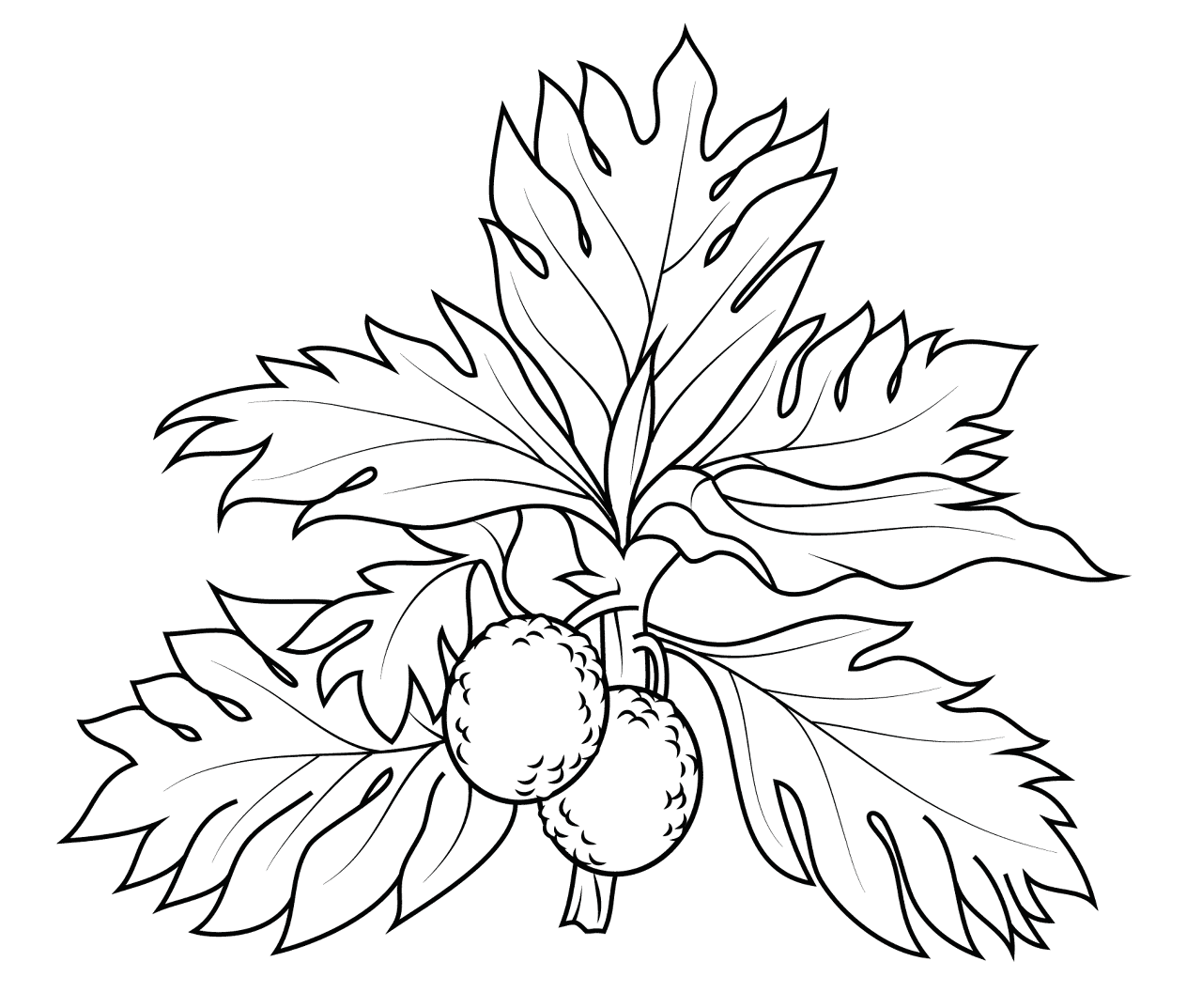 Desenho de Exótico para colorir e imprimir: número 15