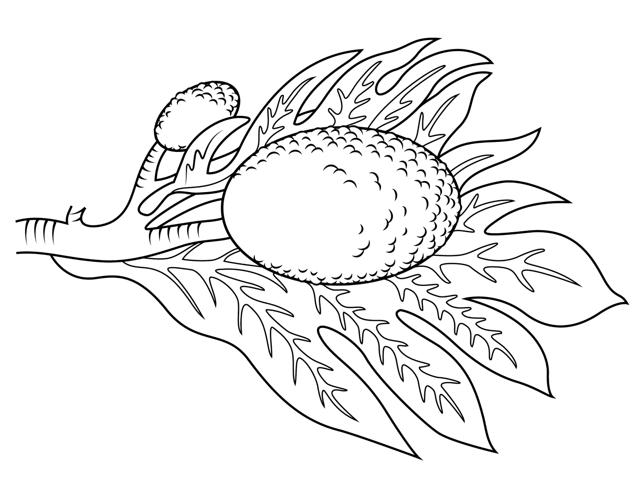 Desenho de Exótico para colorir e imprimir: número 16