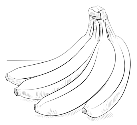 Desenho de Exótico para colorir e imprimir: número 18