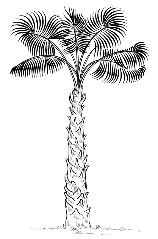 Desenho de Exótico para colorir e imprimir: número 19