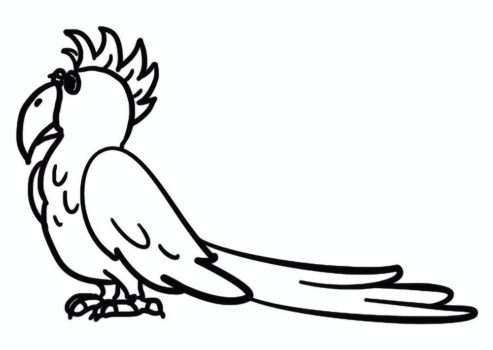 Desenho de Exótico para colorir e imprimir: número 21