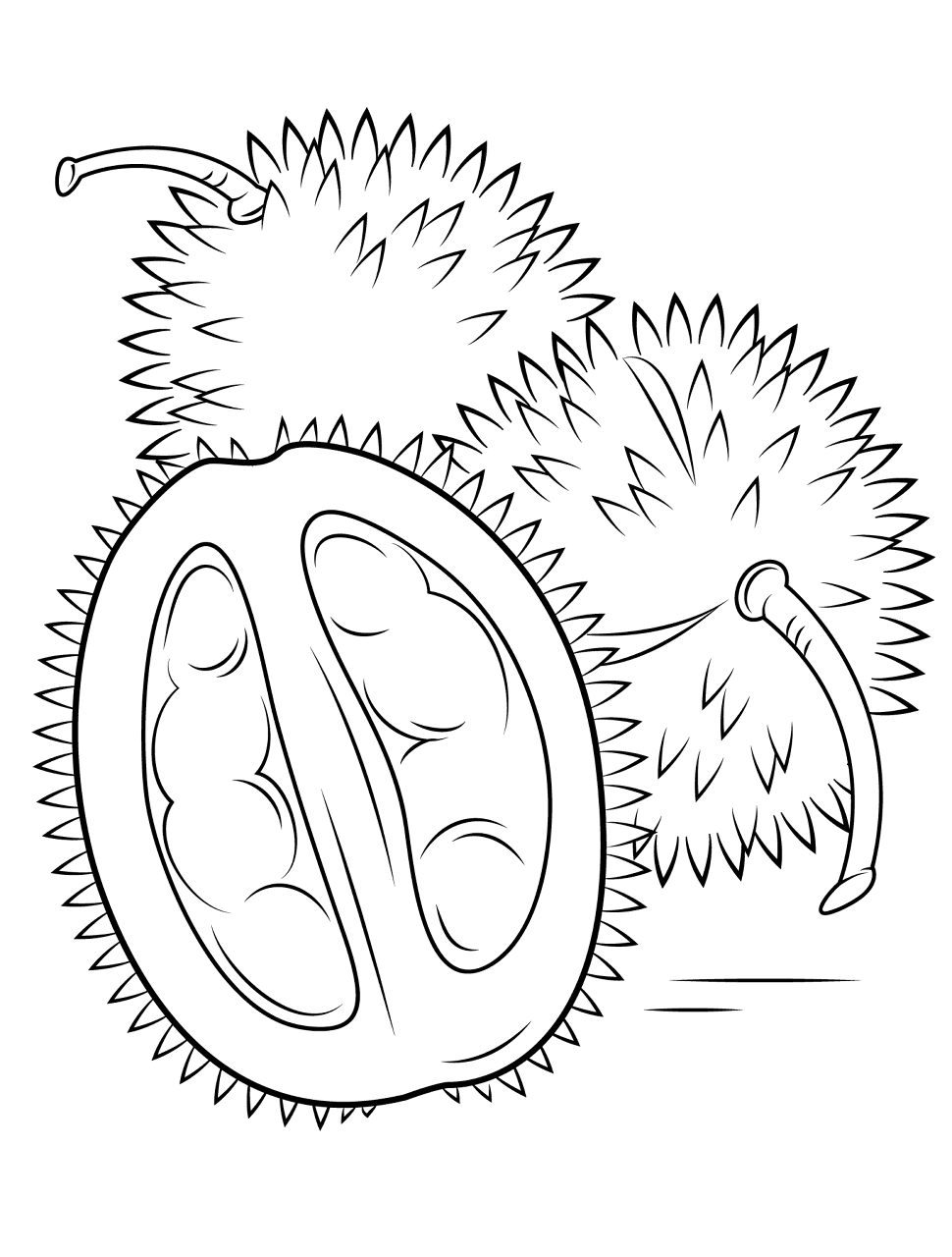 Desenho de Exótico para colorir e imprimir: número 24
