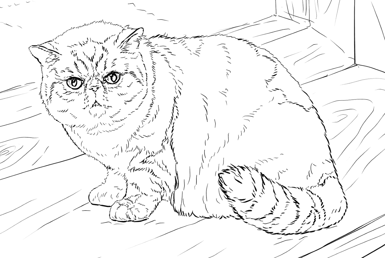 Desenho de Exótico para colorir e imprimir: número 26