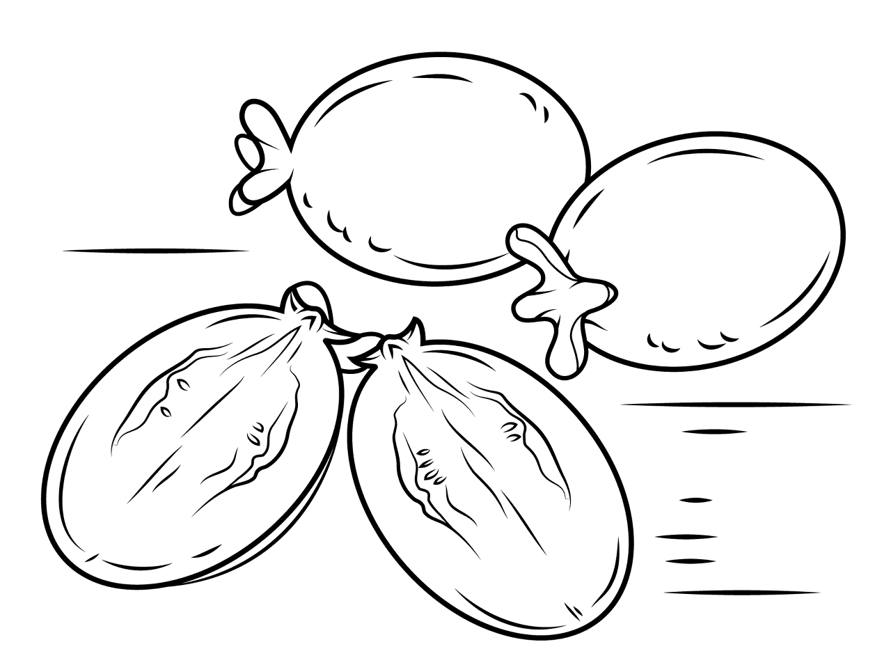 Desenho de Exótico para colorir e imprimir: número 28