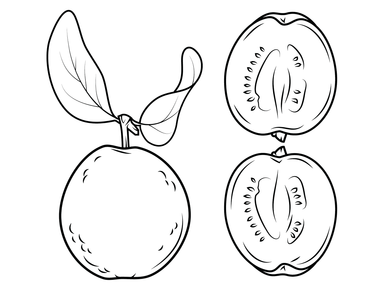 Desenho de Exótico para colorir e imprimir: número 29