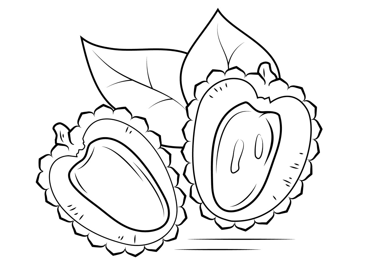 Desenho de Exótico para colorir e imprimir: número 40