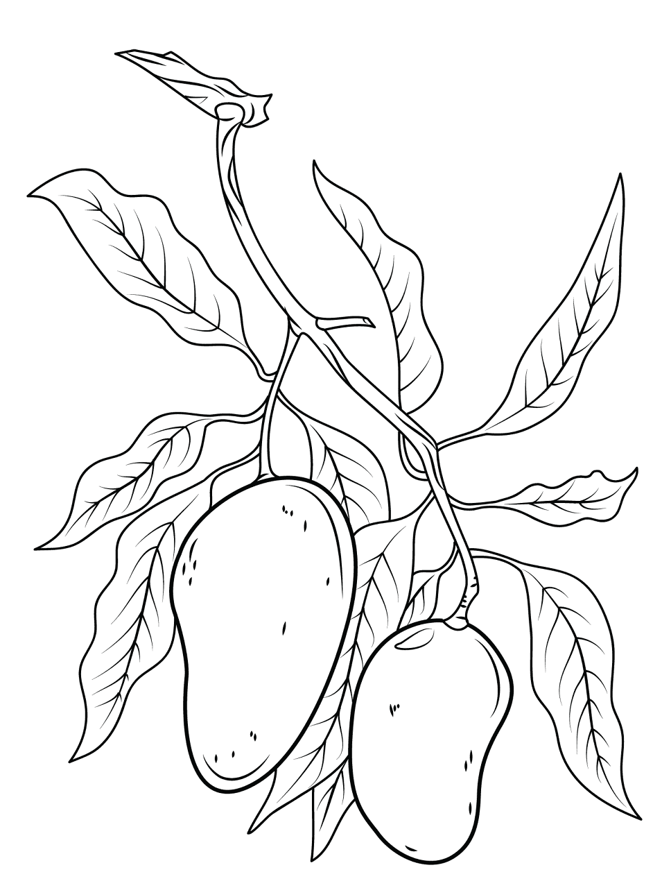 Desenho de Exótico para colorir e imprimir: número 45