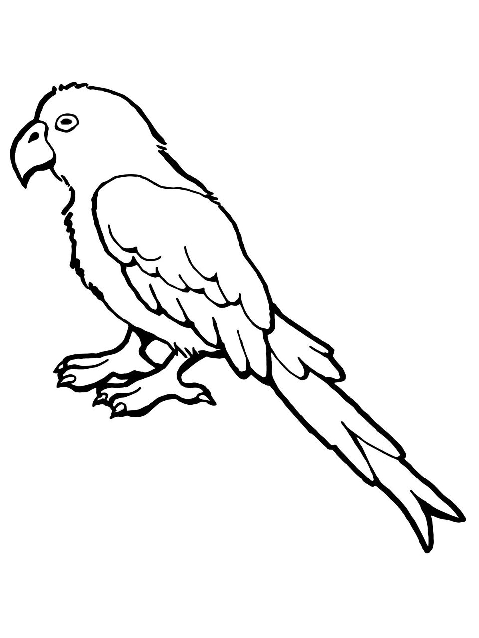 Desenho de Exótico para colorir