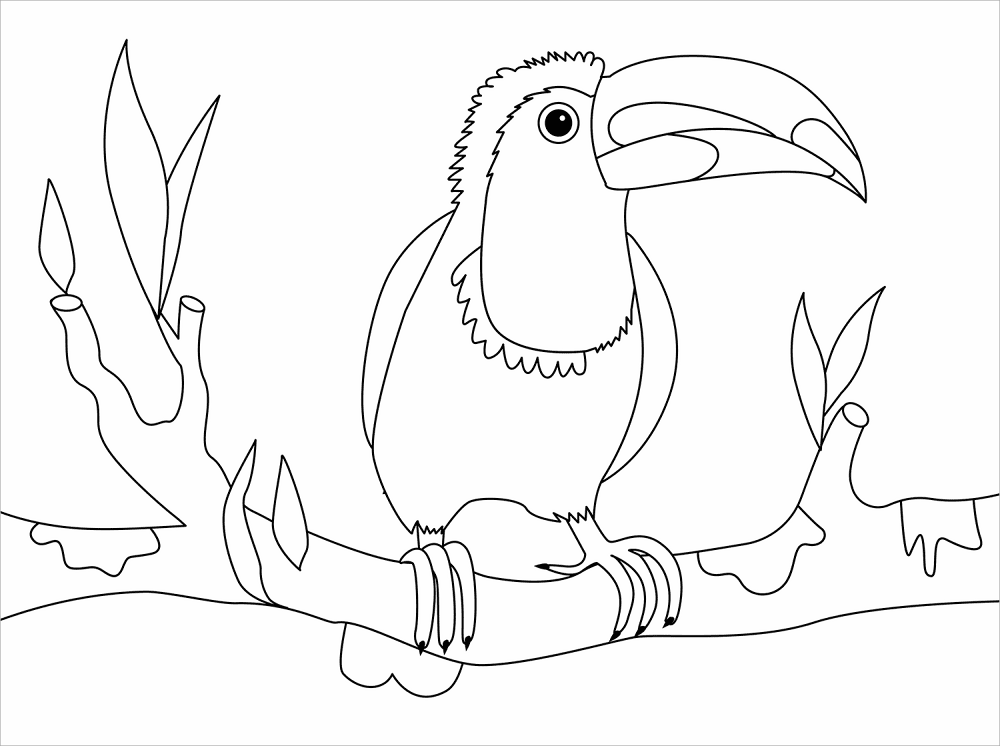 Desenho de Exótico para colorir