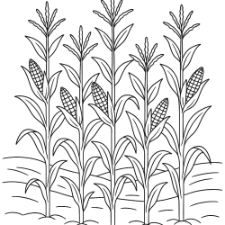Desenho de Fazenda para colorir e imprimir: número 3