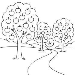 Desenho de Fazenda para colorir e imprimir: número 11