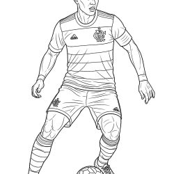 Desenho de Flamengo para colorir e imprimir: número 1