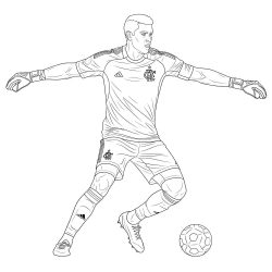 Desenho de Flamengo para colorir e imprimir: número 6