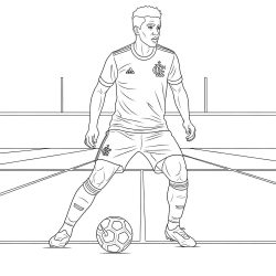 Desenho de Flamengo para colorir e imprimir: número 7