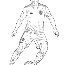 Desenho de Flamengo para colorir e imprimir: número 8