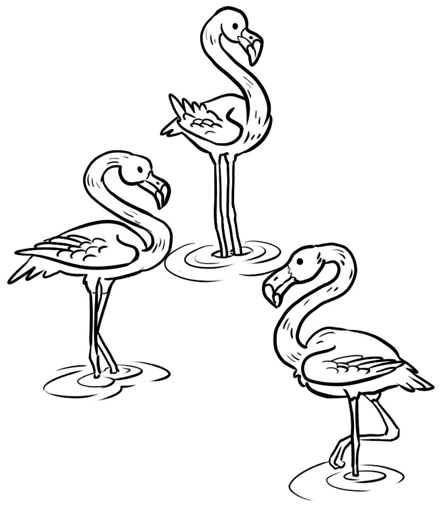 Desenho de Flamingos para colorir e imprimir: número 1