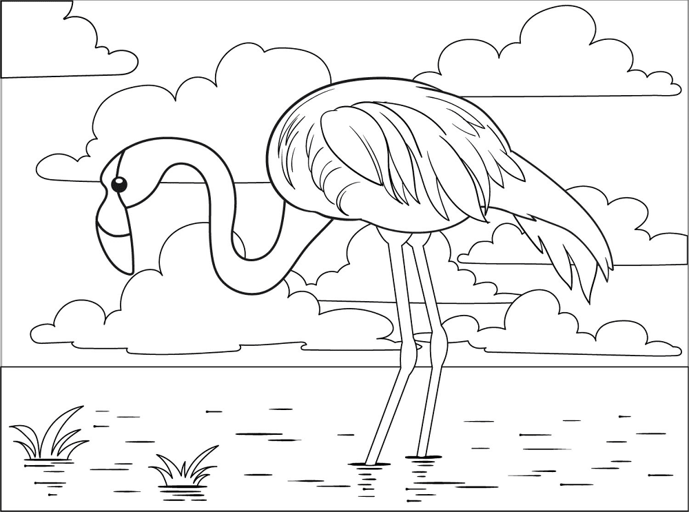 Desenho de Flamingos para colorir e imprimir: número 2