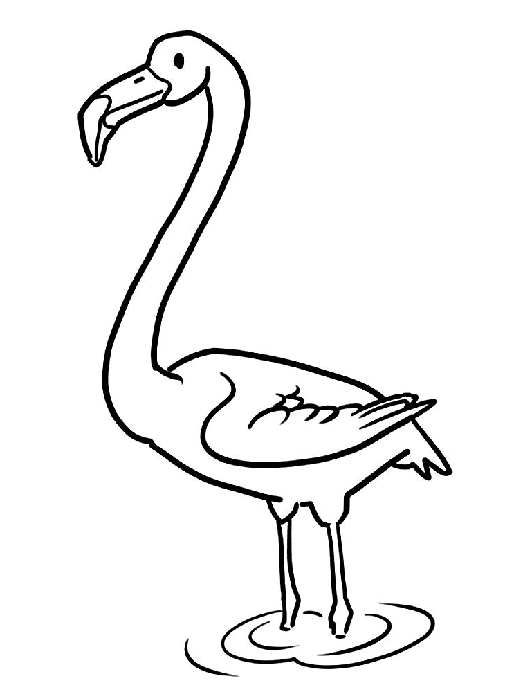 Desenho de Flamingos para colorir e imprimir: número 14