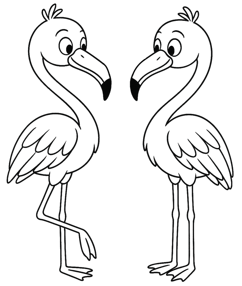 Desenho de Flamingos para colorir e imprimir: número 17