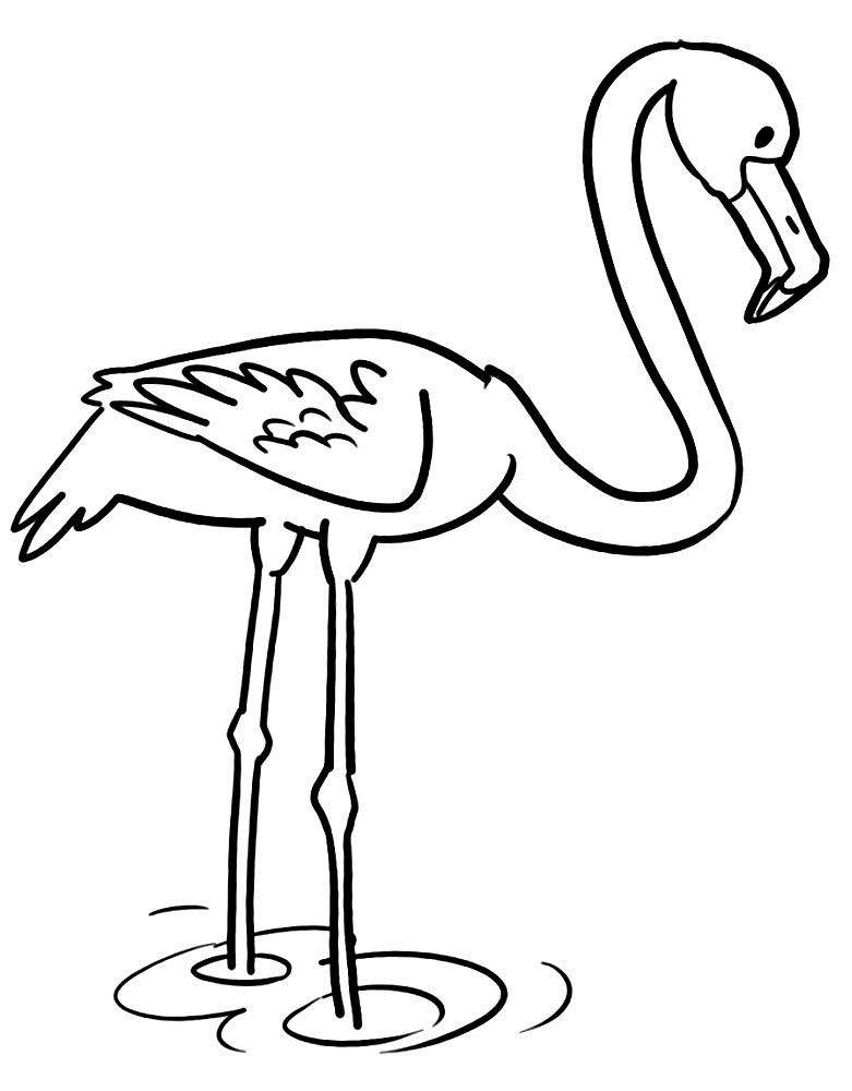Desenho de Flamingos para colorir e imprimir: número 20