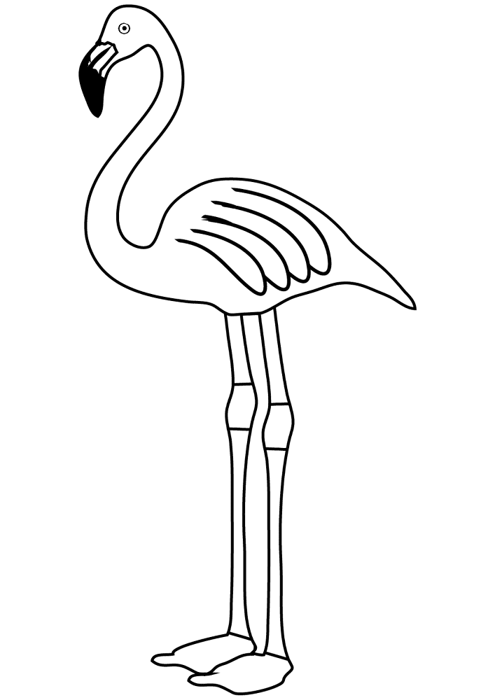 Desenho de Flamingos para colorir e imprimir: número 22