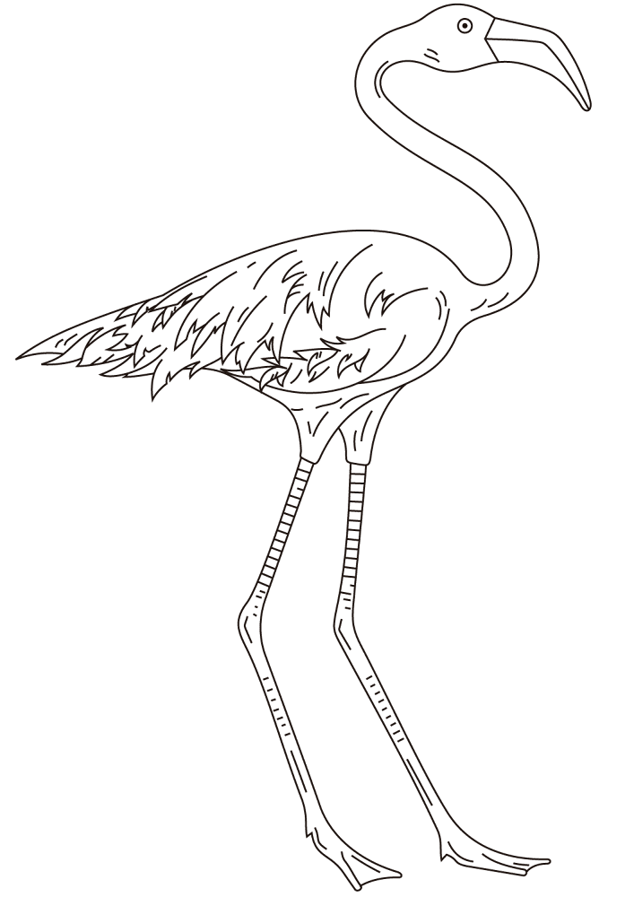 Desenho de Flamingos para colorir e imprimir: número 23