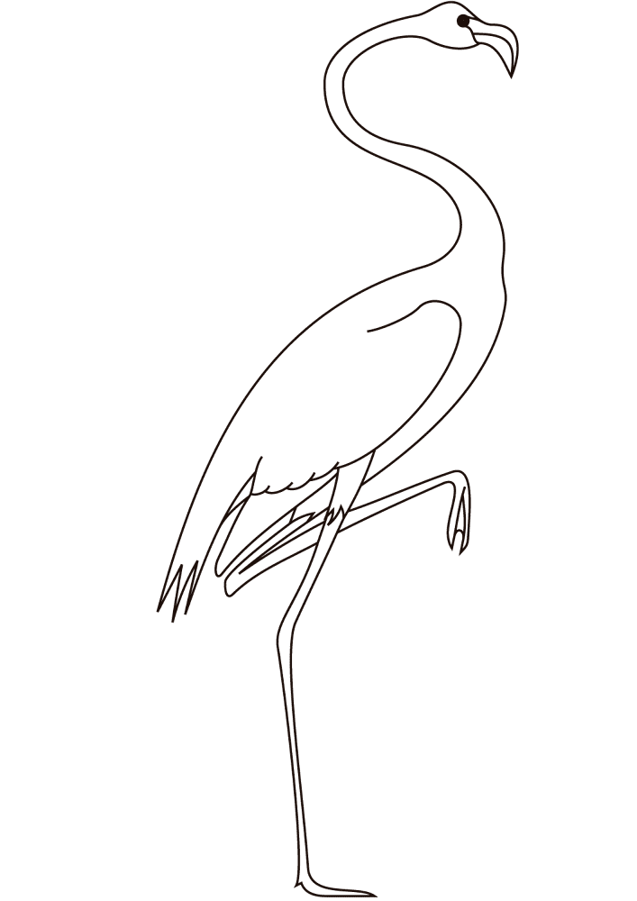Desenho de Flamingos para colorir e imprimir: número 25