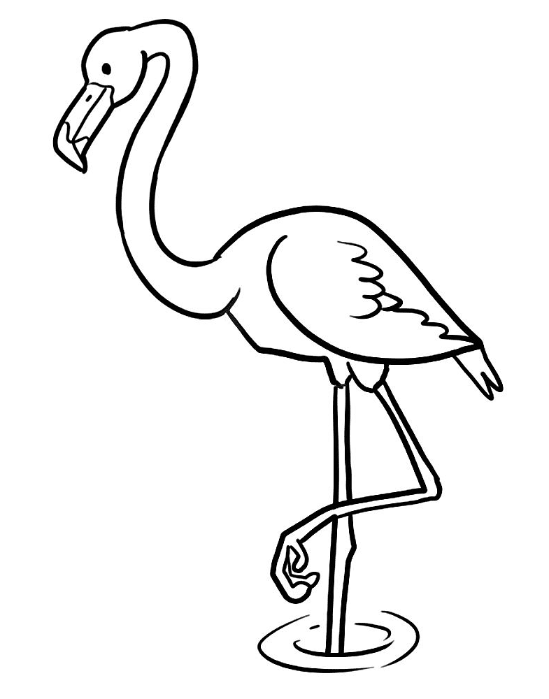 Desenho de Flamingos para colorir e imprimir: número 27