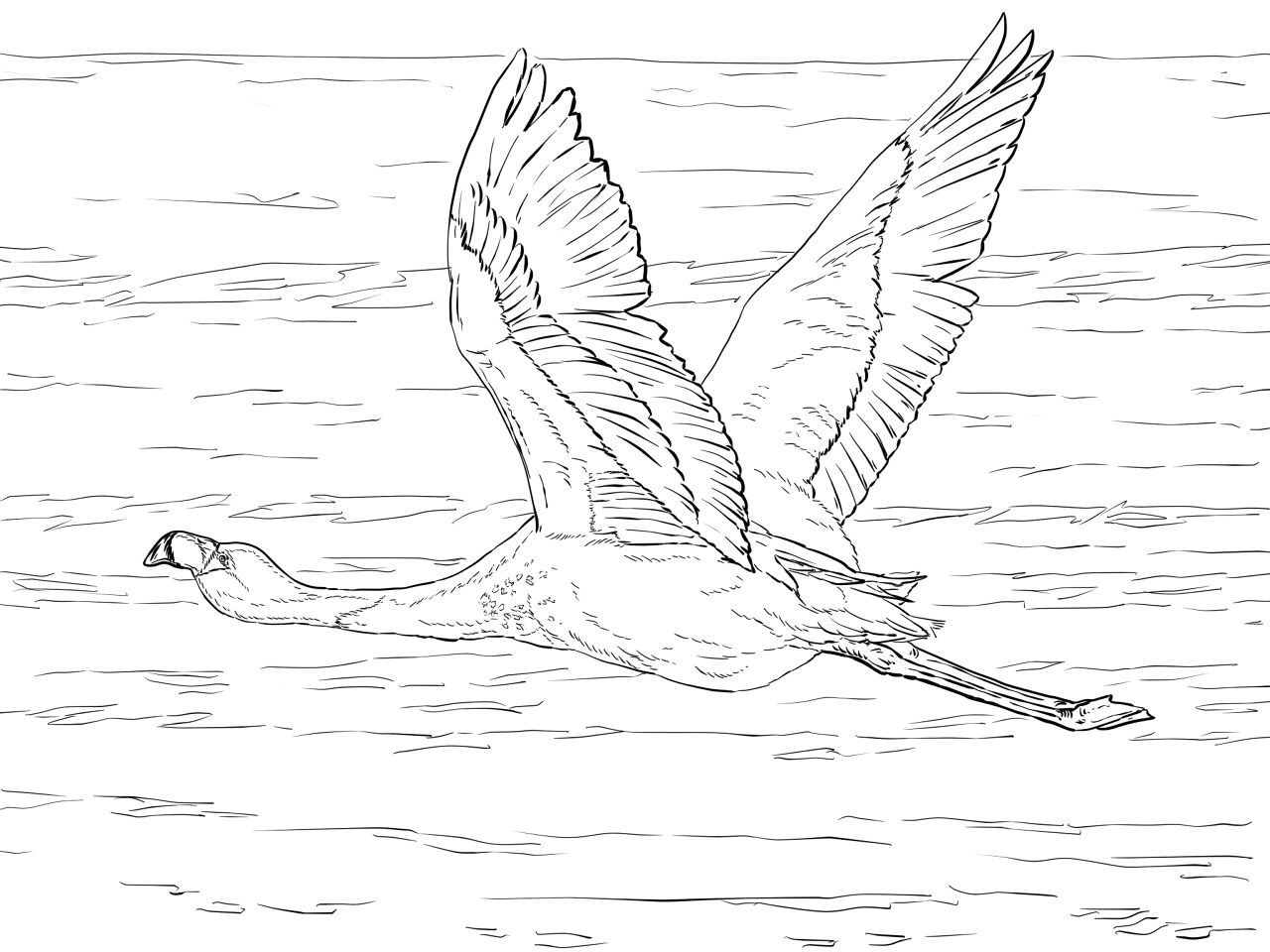 Desenho de Flamingos para colorir e imprimir: número 29