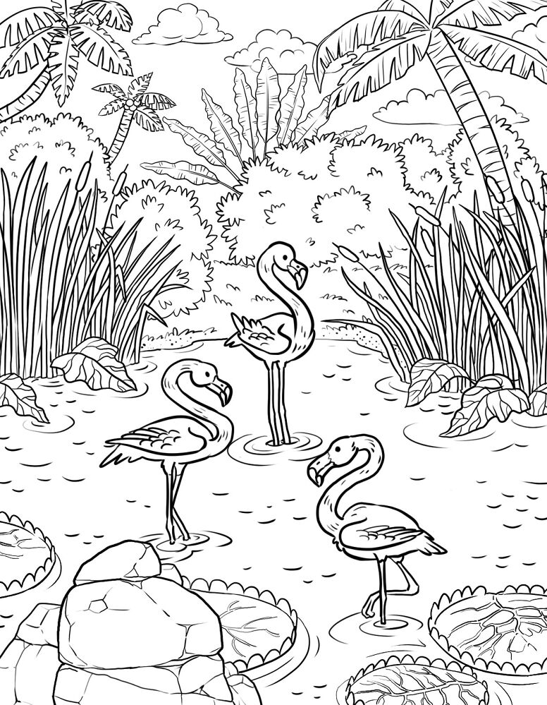 Desenho de Flamingos para colorir e imprimir: número 31